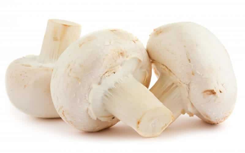 White Button Mushrooms  Mushroom Varieties 101